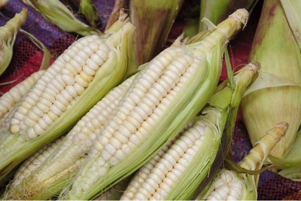 259-imagen-102542122022